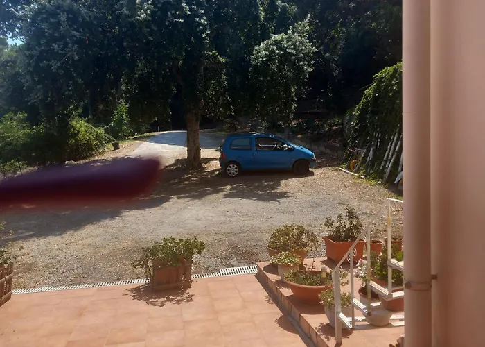 Alba Tra I Pini B&B