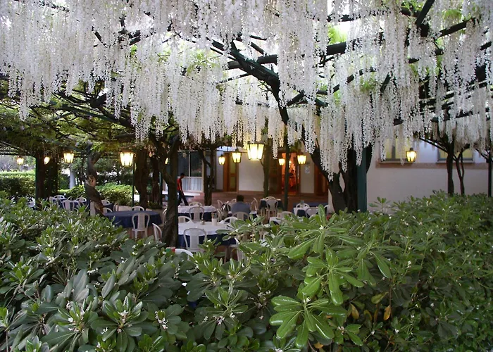 Albergo Ristorante Papa Peschiera del Garda