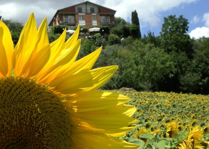 Hotel Sangallo B&B-Panoramic Position-Valley And Vineyard View-Family Run