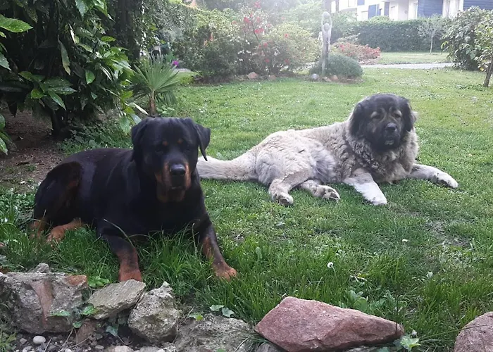 Invilla B&B Varèse