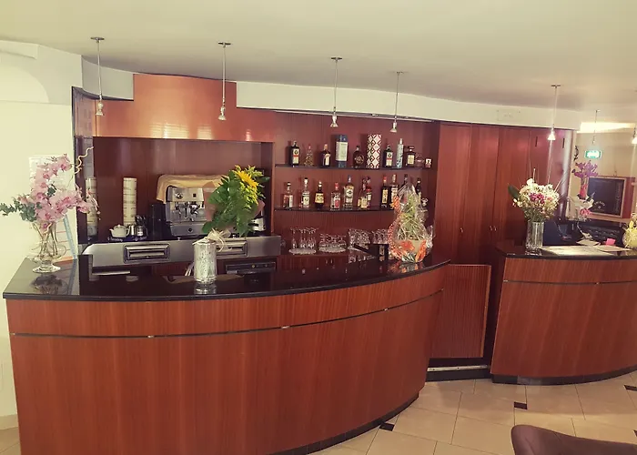 Hotel St Pierre Rímini