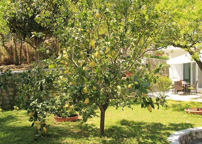 Casa Augusto B&B