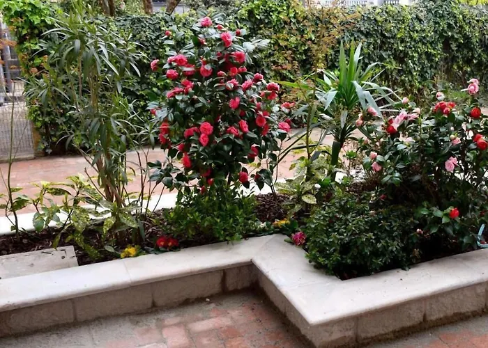 B&B Leonardo Rho