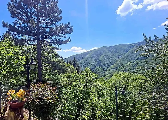 Albergo Ristorante La Selva