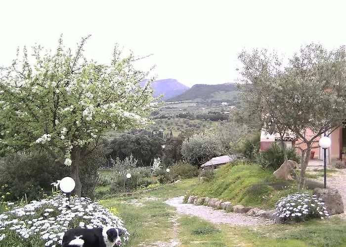 B&B Valli Verdi Alguer