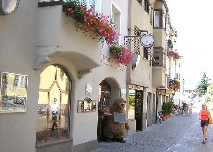Hotel Grauer Bär