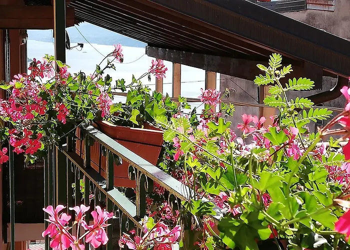 Campino Bed and Breakfast Stresa